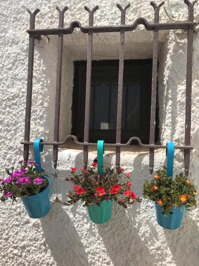 Appartement Estrella De Mar Valencia